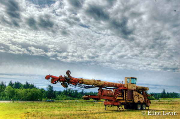 The Dead Crane